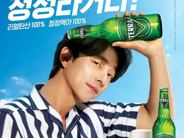 韓ドラで飲んでるビールTE RRAはどこに売ってる？飲んで見た感想は？