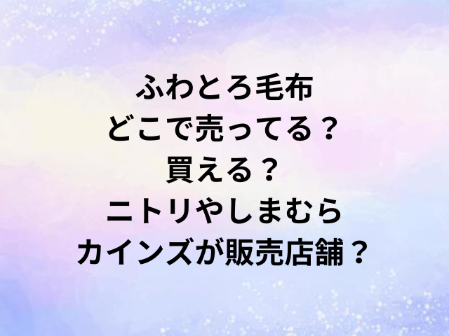 ふわとろ毛布どこで売ってる？買える？ニトリやしまむら・カインズが販売店舗？