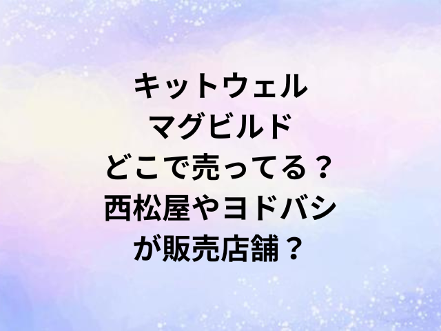 キットウェルマグビルドどこで売ってる？西松屋やヨドバシが販売店舗？