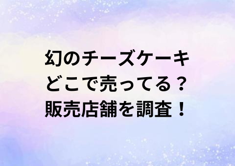 幻のチーズケーキどこで売ってる？販売店舗を調査！