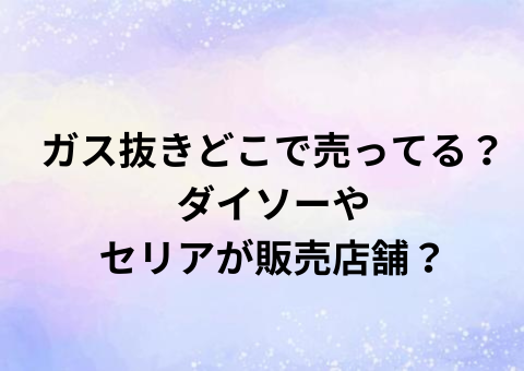 ガス抜きどこで売ってる？ダイソーやセリアが販売店舗？