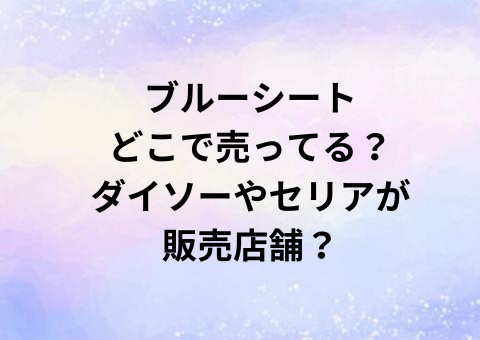 ブルーシートどこで売ってる？ダイソーやセリアが販売店舗？