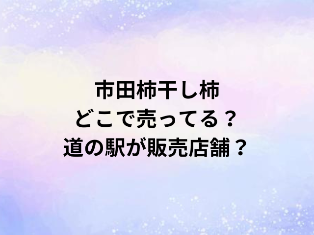 市田柿干し柿どこで売ってる？道の駅が販売店舗？